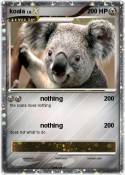 koala