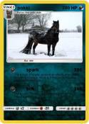 pokki