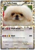 Fluffy Puppy