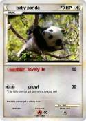 baby panda