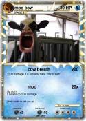 moo cow