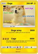 Doge