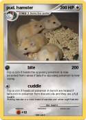 pud. hamster