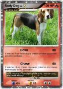 Rudy Dog