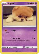 Puppy