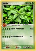 planta