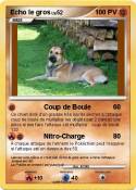 Echo le gros