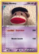 Funny Monkey