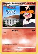 Pingas in the