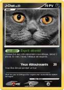 J-Chat
