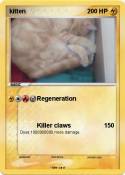 kitten
