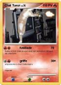 Chat Tueur