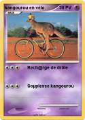 kangourou en