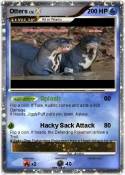 Otters