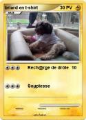 briard en