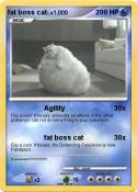 fat boss cat