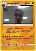 the destroyer