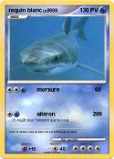 requin blanc