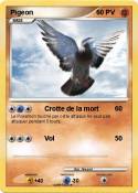 Pigeon