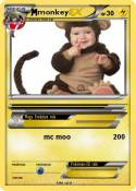 monkey
