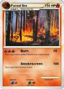 Forest fire