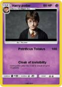 Harry potter