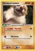 The dog of wisd