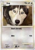 Dog