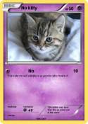 No kitty