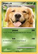 dogen