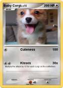Baby Corgi