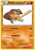CHEEMS BASEBALL