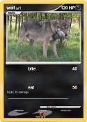 wolf