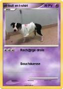 pit-bull en t-s