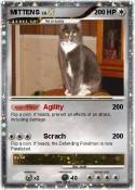 MITTENS