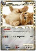 chaton