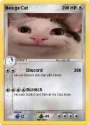 Beluga Cat