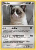 Grumpy Cat