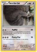 Taco the Cat