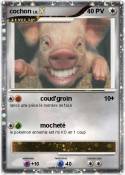 cochon