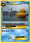 duck