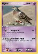 Pigeon