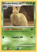 Adorable Bunny