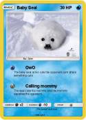 Baby Seal