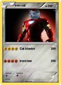 Iron cat