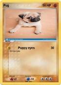 Pug