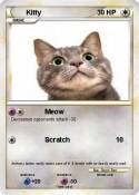 Kitty