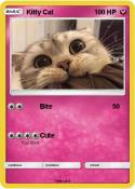 Kitty Cat