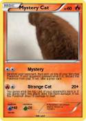 Mystery Cat