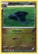 Suicune EX